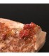 Vanadinita cristalizada sobe Barita de Marruecos 