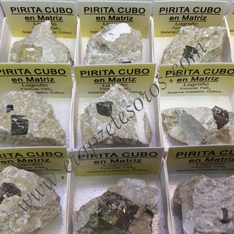 Pirita cubo en matriz de Logroño y  en cajíta individual de colección