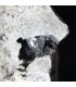 Cuarzo Herkimer en su cueva matriz natural 