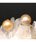 Pendientes de perlas naturales color crema en plata de ley