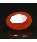 Opalo Fuego de Méjico gema 1,5 quilates