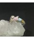 Delfín en anillo de plata de ley con incrustaciones de Nácar multicolor