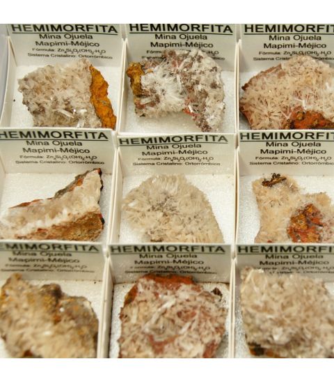 Hemimorfitas cristal de Méxixo en cajita individual de colección.