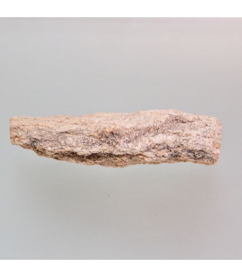 Xilópalo o madera fósil de Madagascar