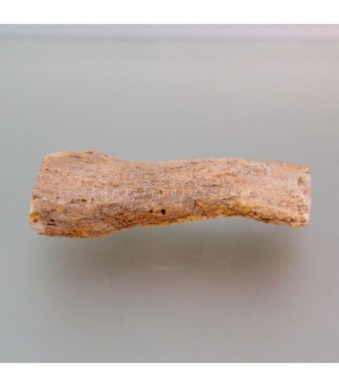 Xilópalo o madera fósil de Madagascar