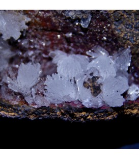 Hemimorfitas cristalizadas de Méjico