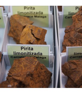Pirita limonitizada de Málaga en cajíta de colección individual