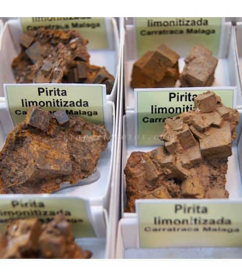 Pirita limonitizada de Málaga en cajíta de colección individual