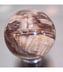 Esfera de Xilópalo, Árbol fósil