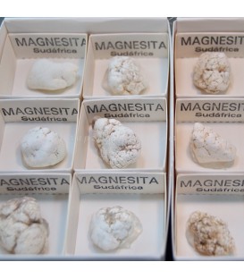 Magnesita de Sudáfrica en cajita individual de colección