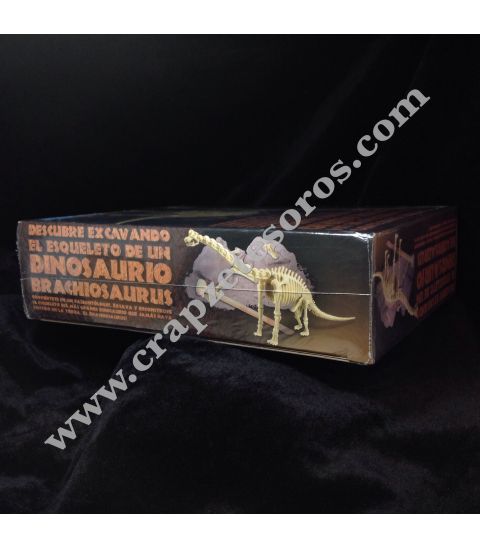 Conjunto de paleontólogo con dinosaurio Branchiosaurius por desenterrar