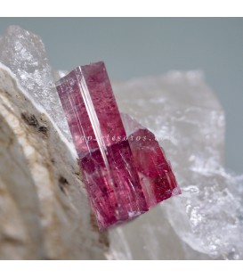 Cristal natural de Rubelíta en Cuarzo de Brasil