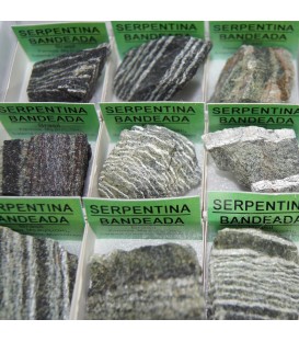Masivo de Serpentina de Brasil en cajítas de colección 4X4