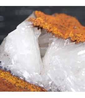 Heminorfitas cristalizadas de Méjico