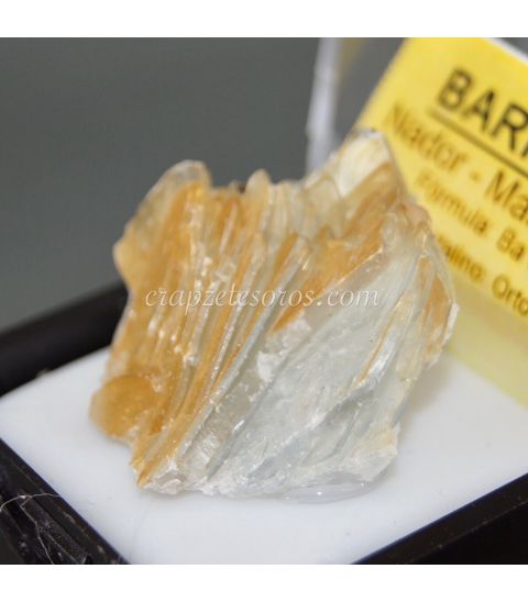 Baritina cristalizada de Nador en urna de metacrilato