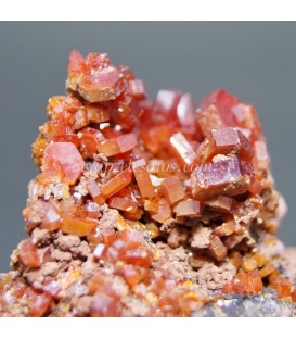 Vanadinita cristalizada en matriz de Marruecos