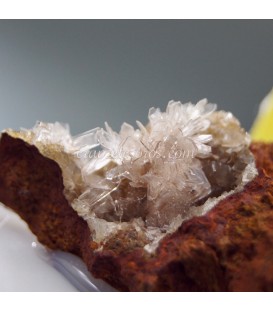 Hemimorfitas cristalizadas de Méjico en estuche protector