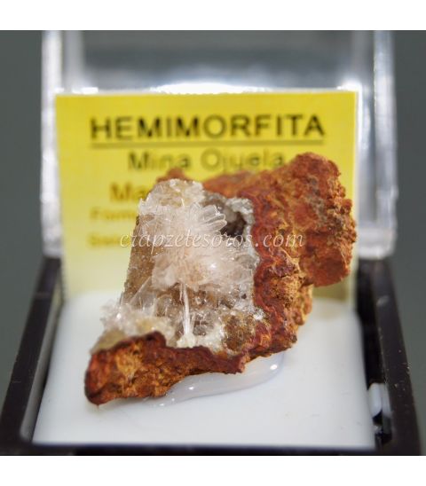 Hemimorfitas cristalizadas de Méjico  en estuche protector