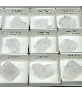 Halíta - Sal gema de Cardona en cajíta de colección