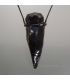 Obsidiana punta de flecha de Méjico en colgante de macramé de algodón