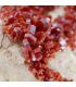 Vanadinita cristalizada sobe matriz de Marruecos