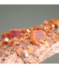 Vanadinita cristalizada en matriz de Marruecos