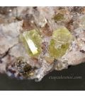 Cristales de Apatitos verdes naturales de Durango, México