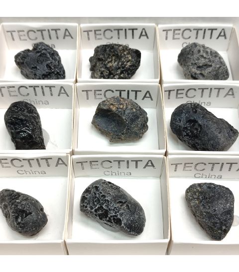 Tectita meteorito en cajita para coleccion