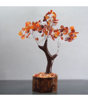 Árbol Bonsai de Cornalinas de 17cm