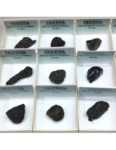 Tectita meteorito en cajita para coleccion